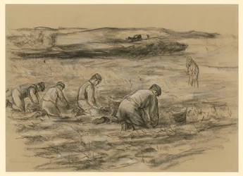 Potato Diggers in Zandvoort