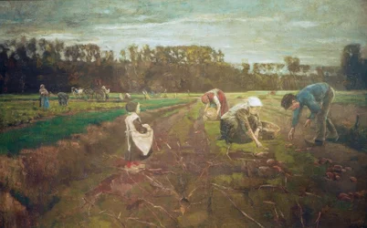 Potato Harvest in Barbizon