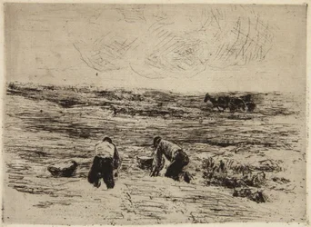 The Potato-Farmers