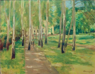 Wannsee Garden with Birch Avenue