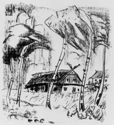 Farmstead behind Birches