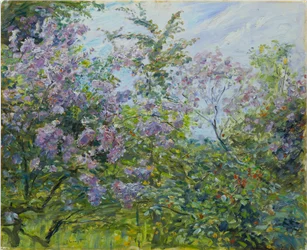 Blossoming Lilac