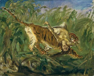 Tiger in the Jungle