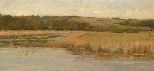Hill and Marshland