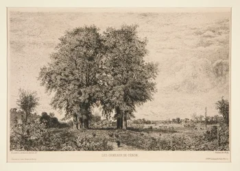 The Elms of Cénon