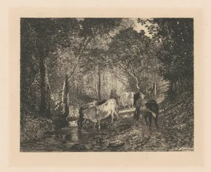 Cows in the Woods