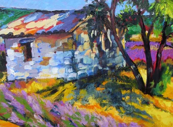 Summer In Provence