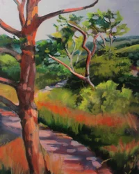 Sunlit Forest Path
