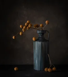 Longan Still Life