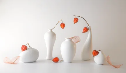 Orange Physalis Still Life