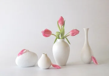 Pink Tulips in Vases