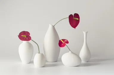 Serene Anthurium Arrangement