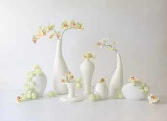 Serene Orchid Arrangement