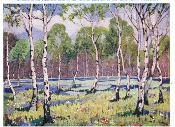 Spring Woodland