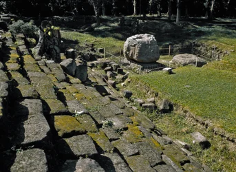 Zoomorphic Altar