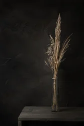 Moody Dried Grasses