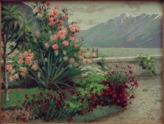 Flower Garden in Spring on Monte Baldo