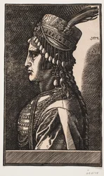 Noble Turkish Lady