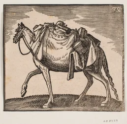 Heavily Laden Horse