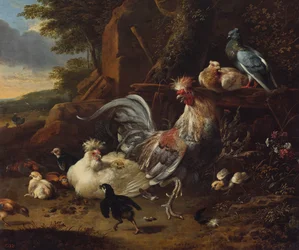 Rooster, Hens and Other Fowl in a Yard