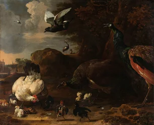 Two Peacocks Threatening a Hen with Chicks, known as 