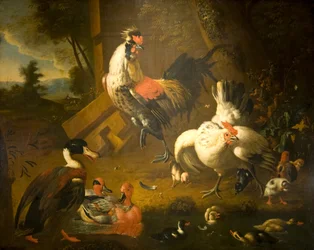 A Cock with a Hen and Three Ducks