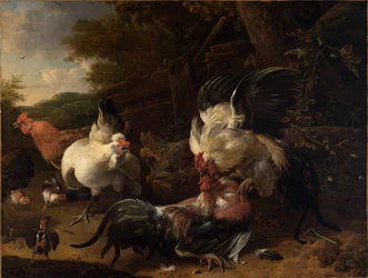 Fighting Roosters