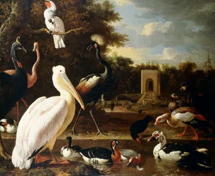 Many Different Types of Birds at a Pool in a Park