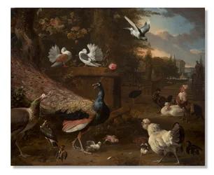 Menagerie