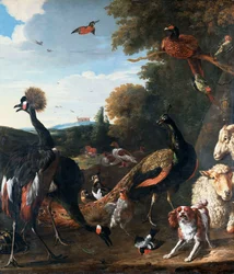 Peacocks and other birds, with a sheep and dog in a landscape