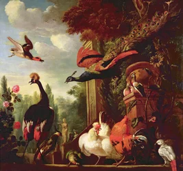 Unknown Image