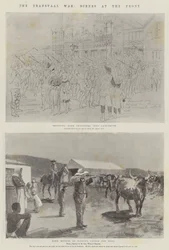 The Transvaal War, Scenes at the Front