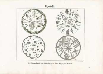 Crystal Forms of Various Salts