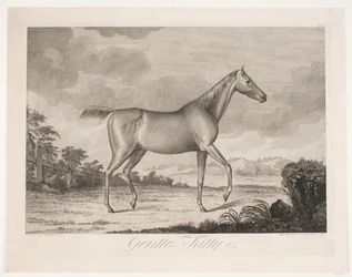 The Horse "Gentle Kitty"