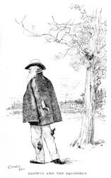 Darwin and the Squirrels, illustration from Charles Darwin, His Life and Work by Charles Frederick Holder
