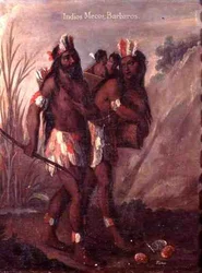Indian Cross-Breeds