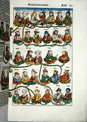 Genealogical Tree, from 