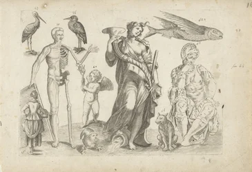 Study Sheet with Drawing Examples: Animals and Various Figures
