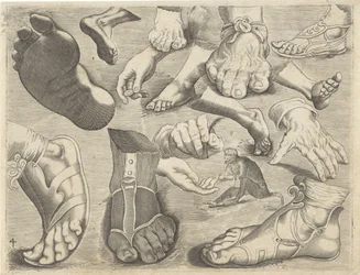 Study Sheet with Drawing Examples: Hands, Feet, and a Monkey (Series Title: Drawing Examples)