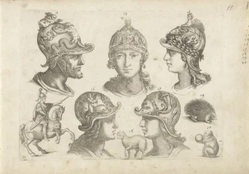 Study Sheet with Drawing Examples: Heads and Animals