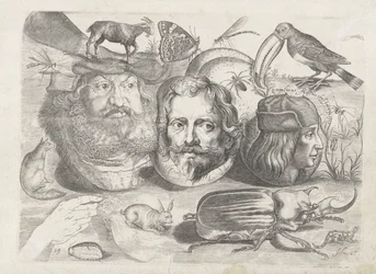 Study Sheet with Drawing Examples: Portraits, Animals, Insects