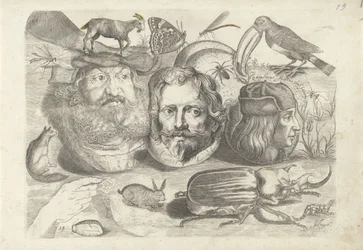 Study Sheet with Drawing Examples: Portraits, Animals, Insects