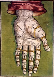 The Left Hand