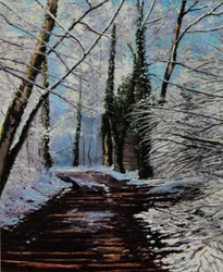 Path of Snow