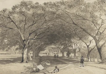 Avenue and Entrance to St. James Barracks