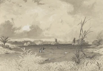 The Pitch Lake