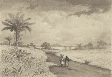 The Road to the Pitch Lake