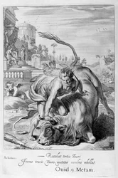 Achelous in the shape of a bull is vanquished by Hercules