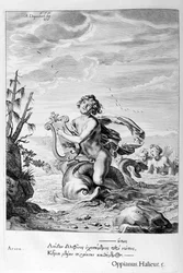 Arion Saved by a Dolphin