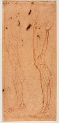 Leg Study
